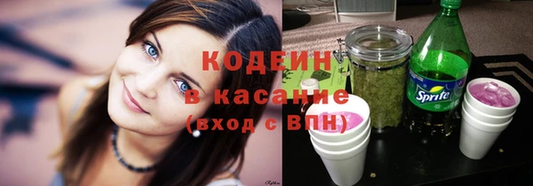 индика Рославль