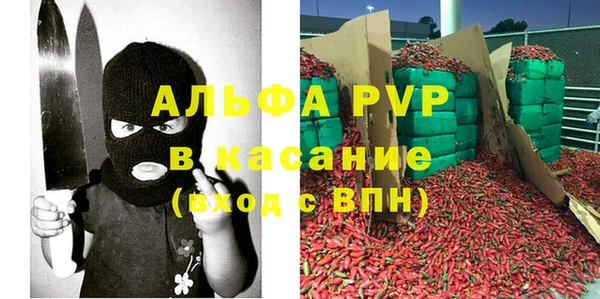 индика Рославль