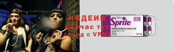 индика Рославль