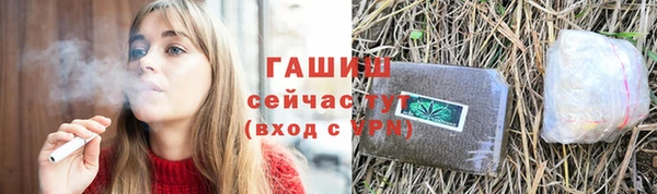 индика Рославль