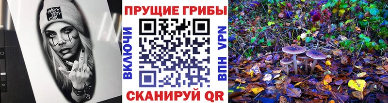 нарко площадка формула  ОМГ ОМГ ТОР  Псилоцибиновые грибы Cubensis  Старый Крым  купить  цена 